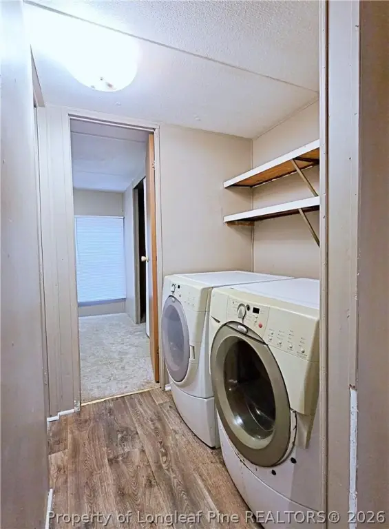 Picture 19