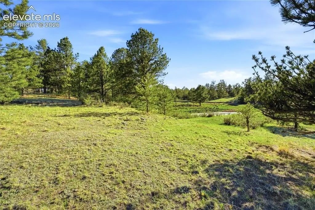 Picture 8