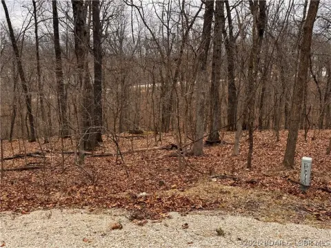 Four Seasons Double Lot