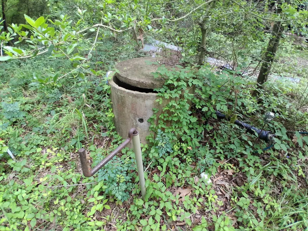Picture 4