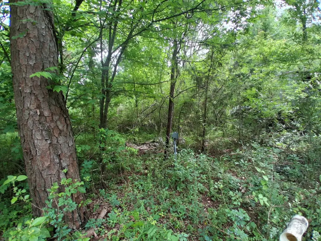 Picture 6