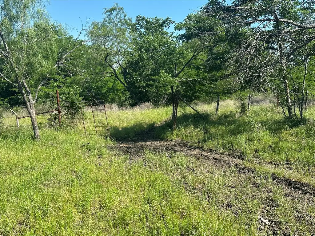Picture 31