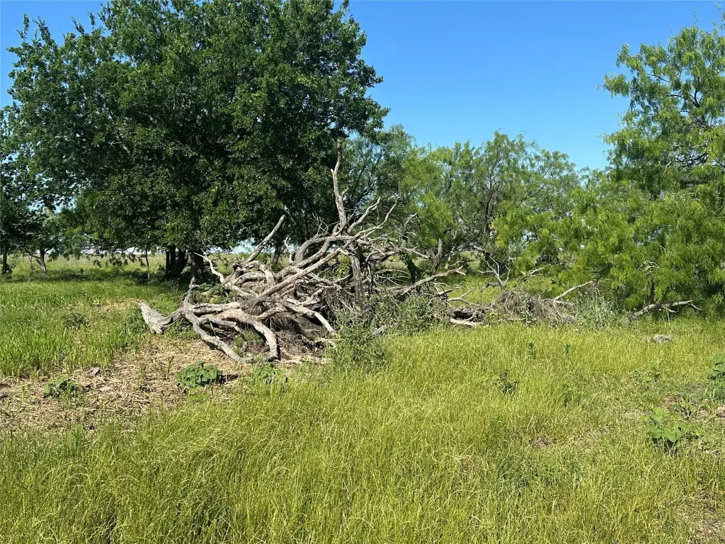 Picture 23