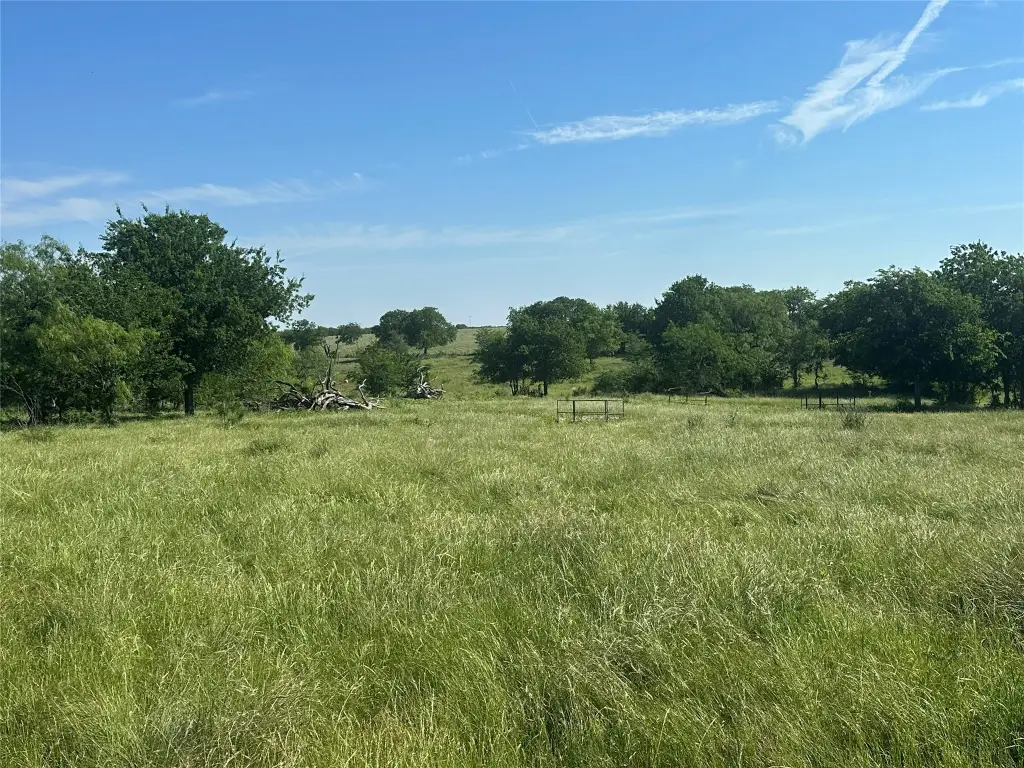 Picture 28