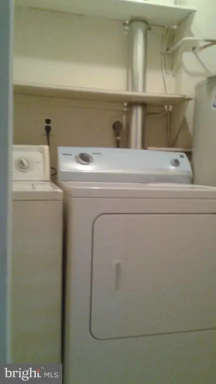 Picture 47