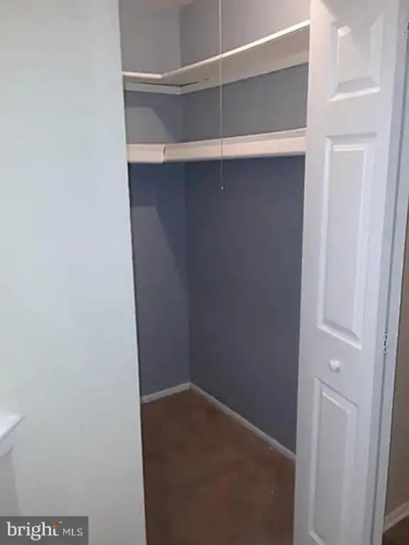 Picture 43