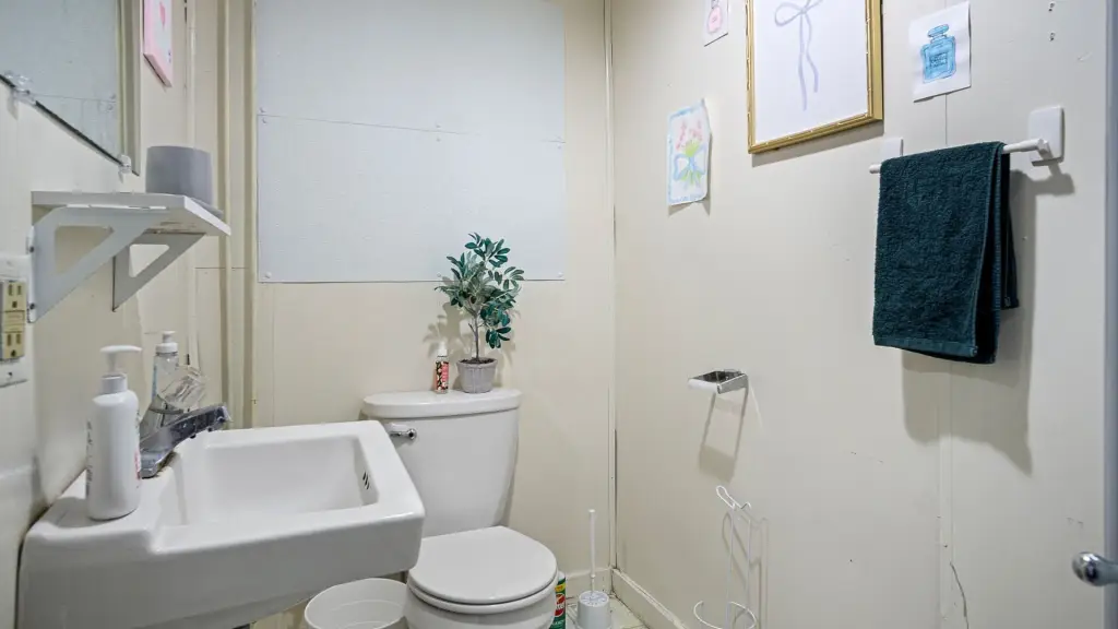 Picture 15