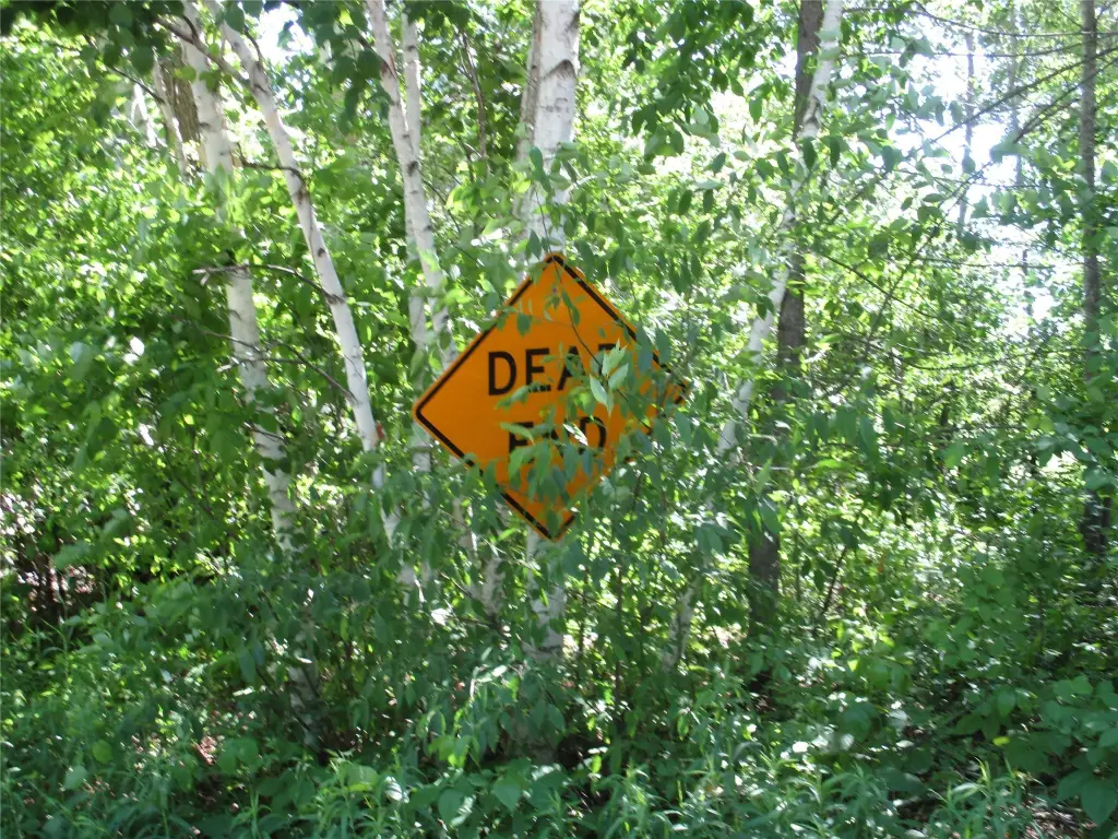 Picture 37