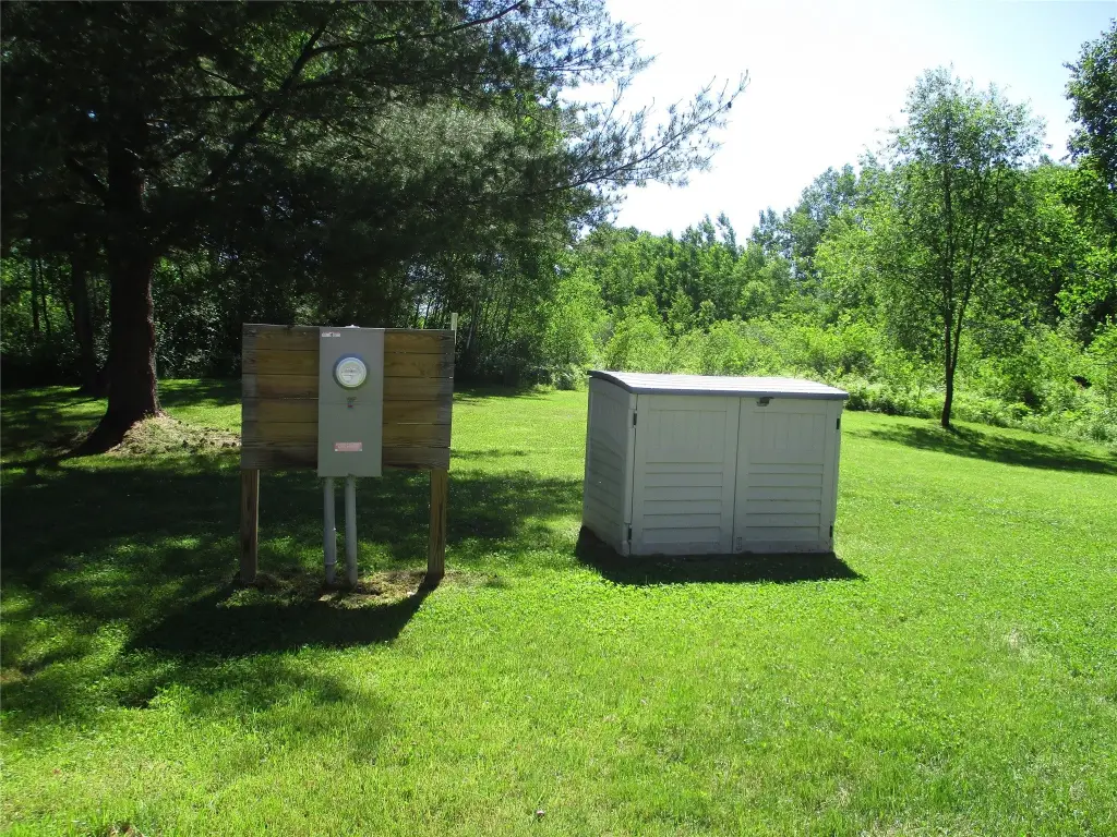 Picture 8