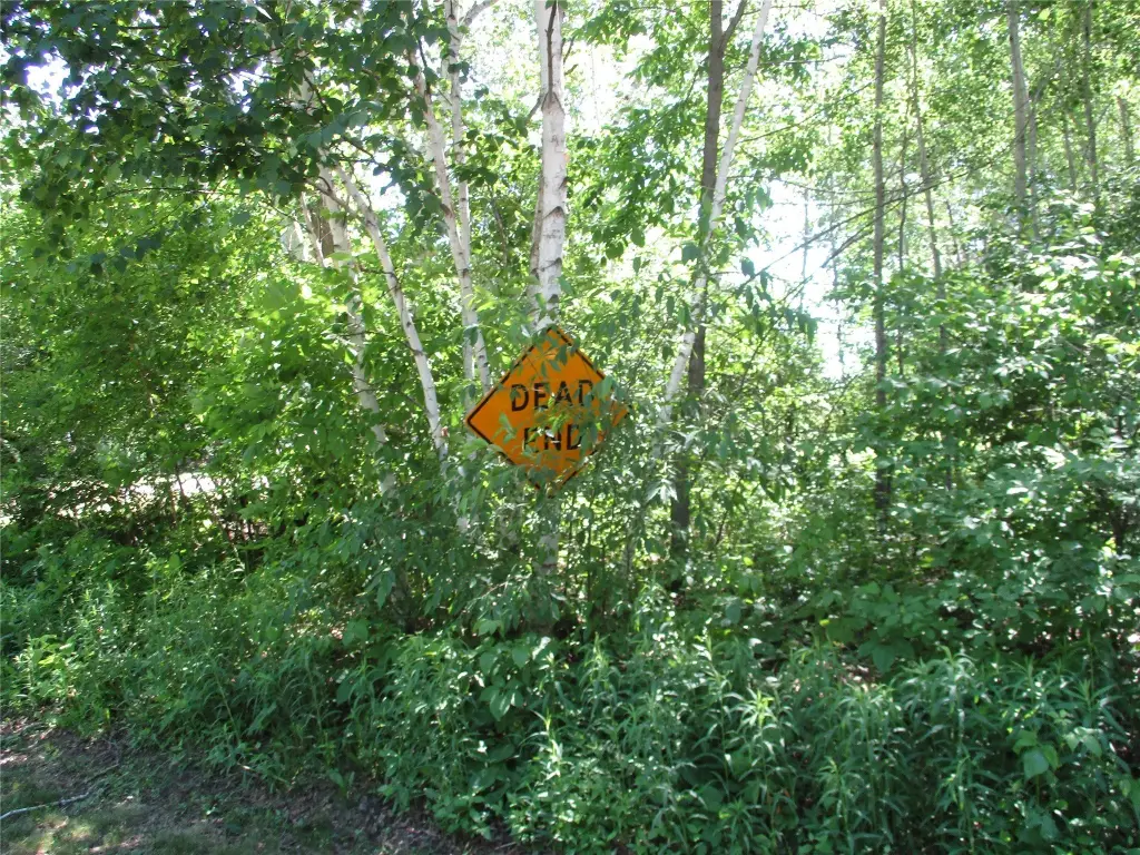 Picture 36