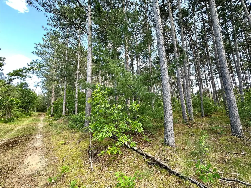 Picture 15