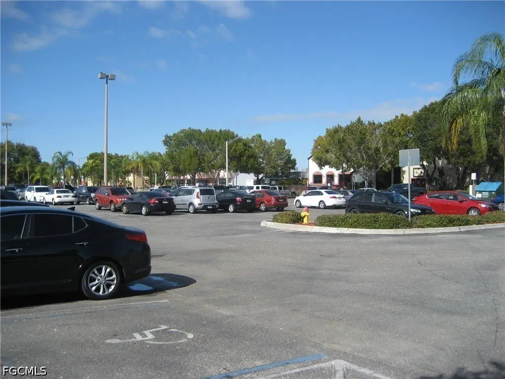Picture 3