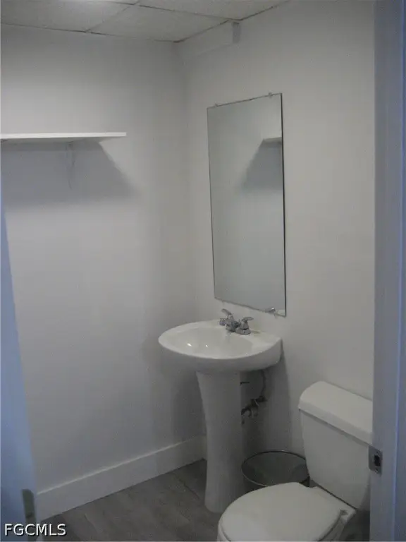 Picture 8