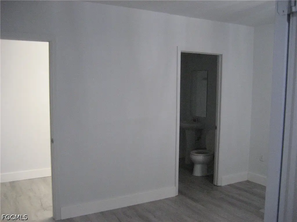 Picture 7