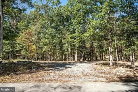 Scenic Wooded Lot with Creek