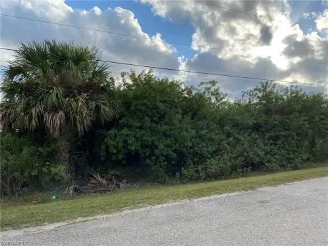 Residential Land in Naples, FL