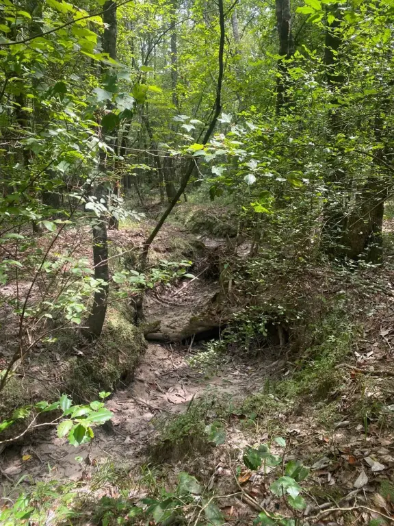 Picture 29