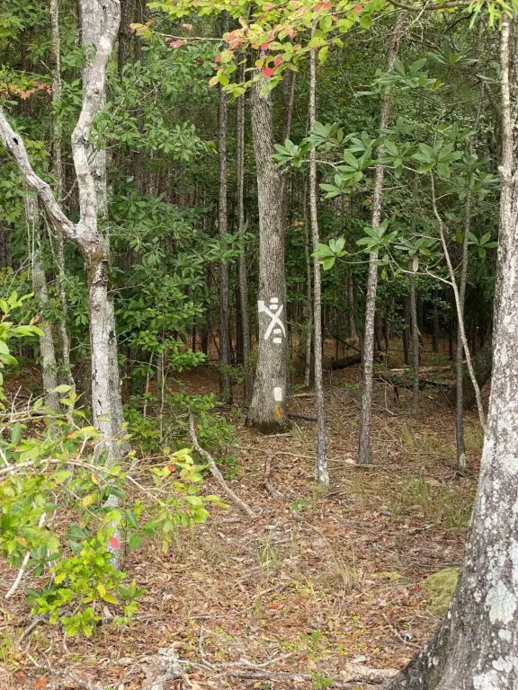 Picture 30