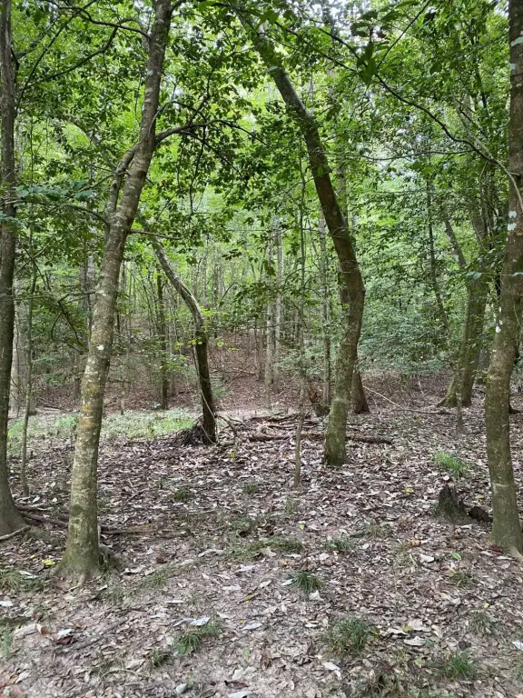 Picture 30