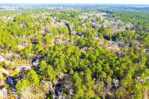 Wooded Lot Near Lake Livingston