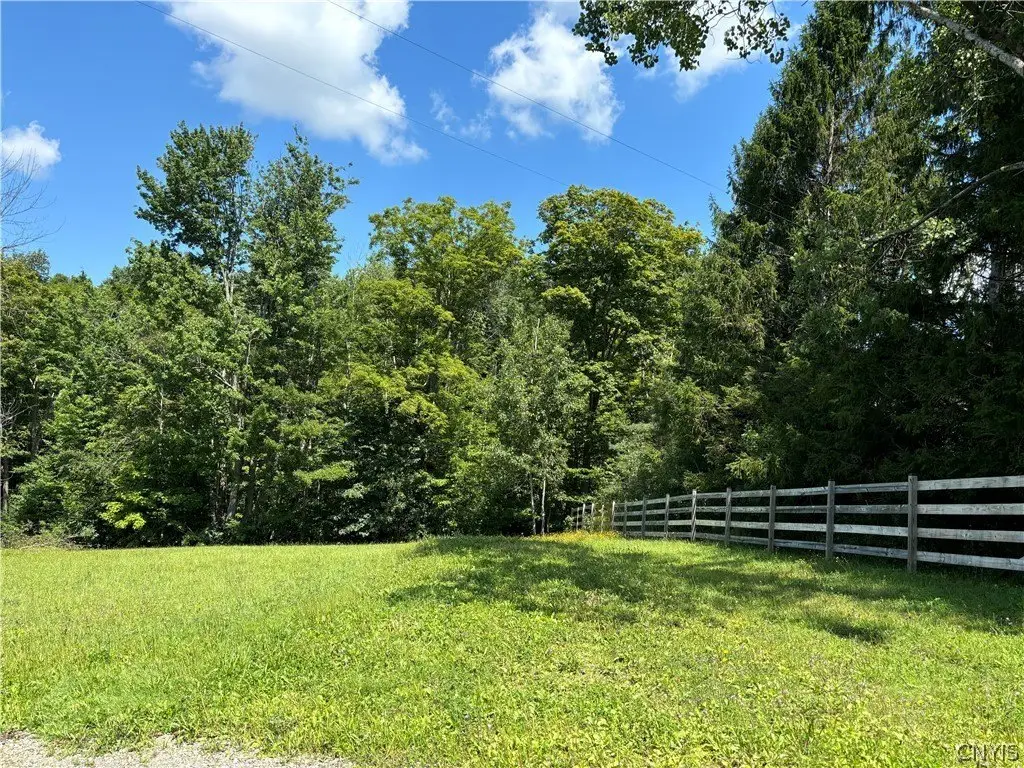 Picture 3
