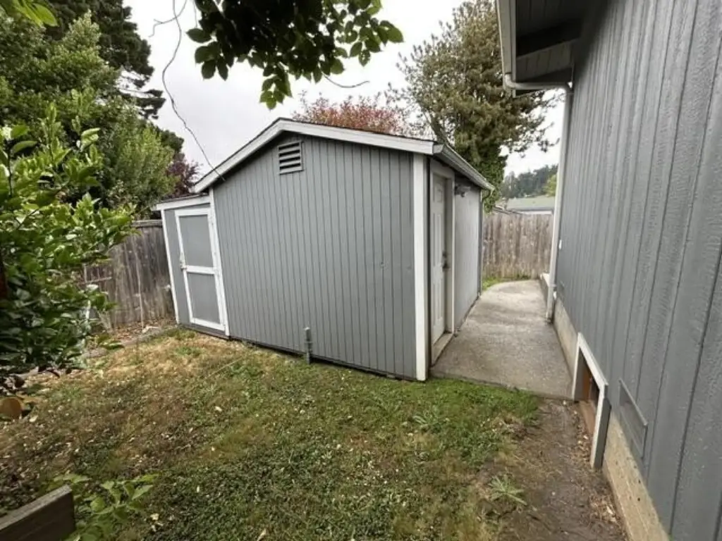 Picture 48