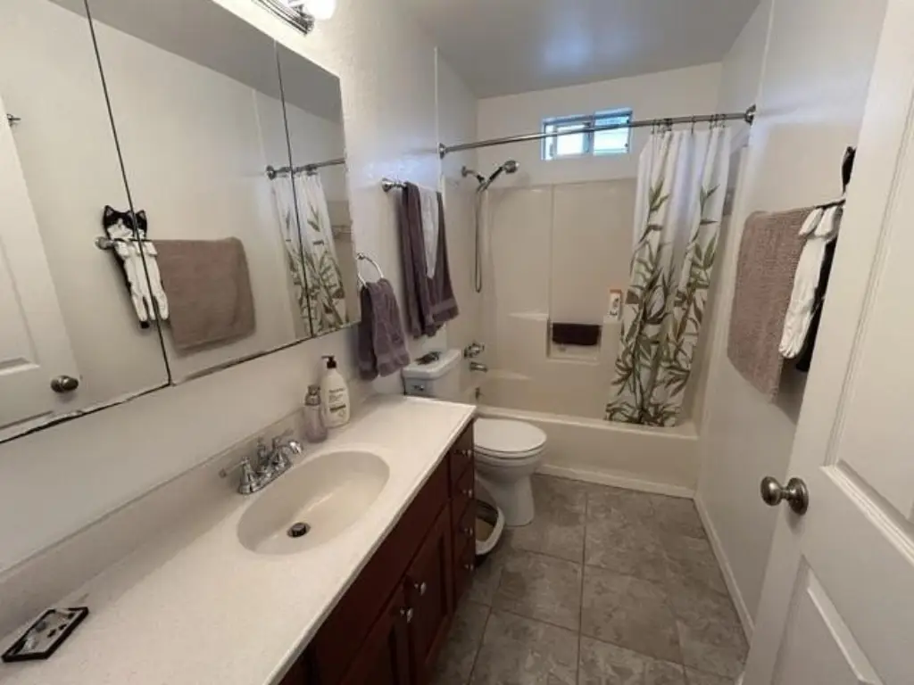 Picture 37