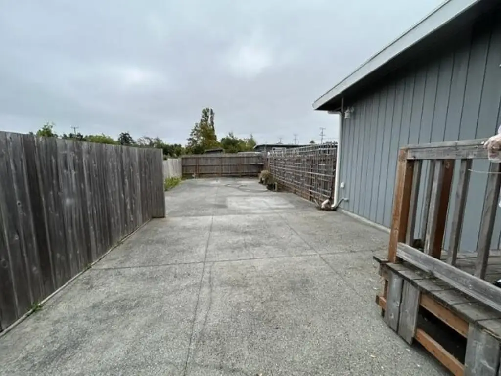 Picture 19