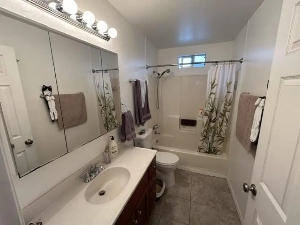 Picture 38