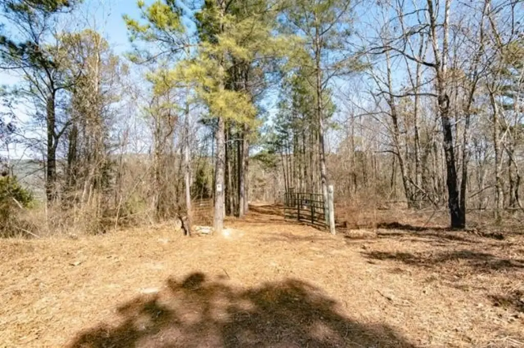 Picture 3