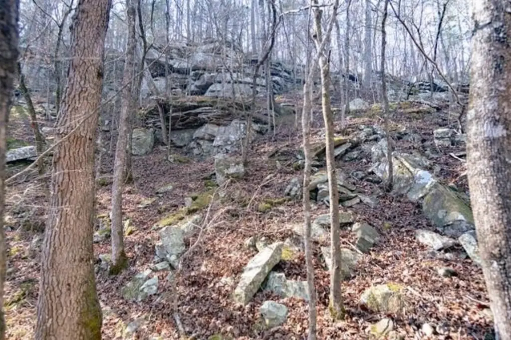Picture 18