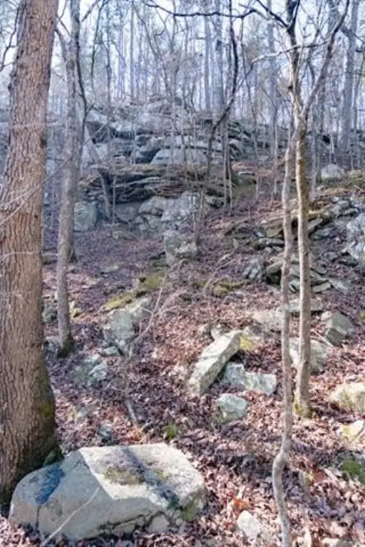 Picture 17