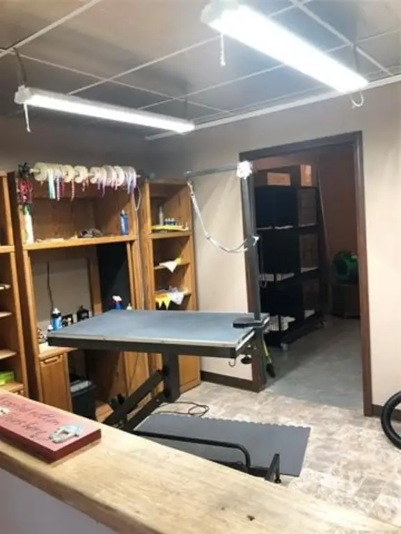 Picture 37