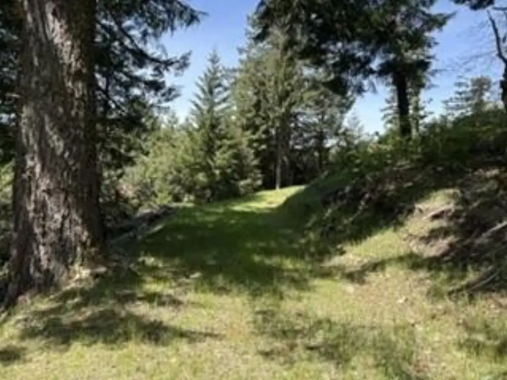 Picture 8