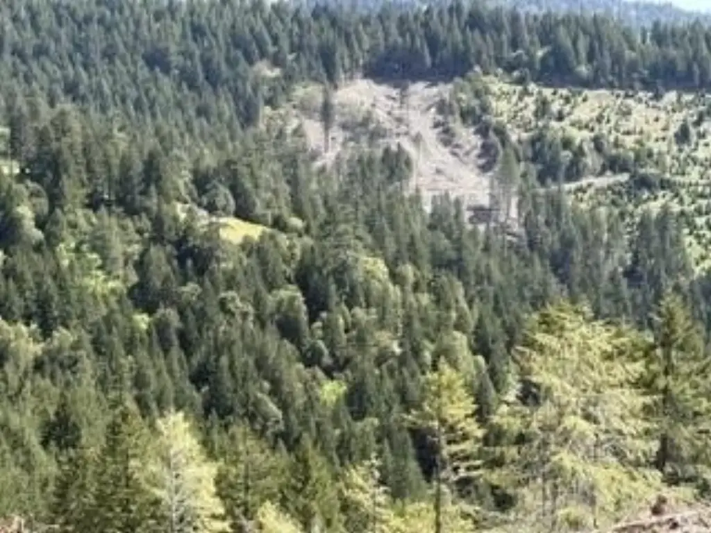 Picture 3