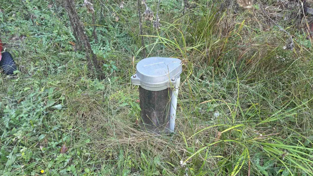 Picture 11