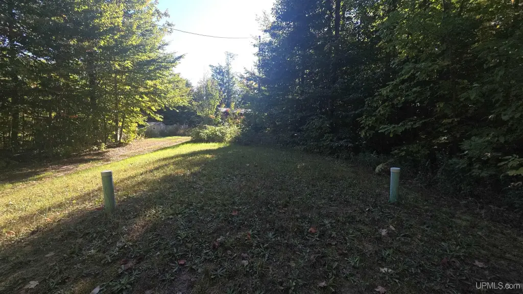 Picture 12