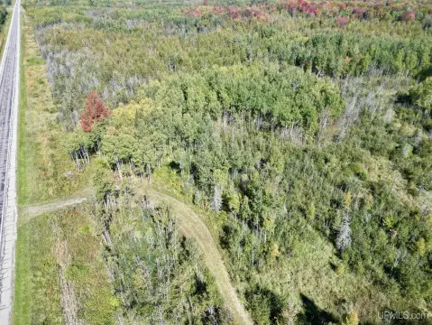 Wooded Hunting Land