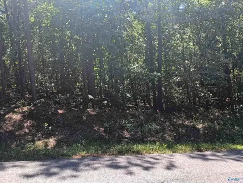 Residential Lot in Southside, AL