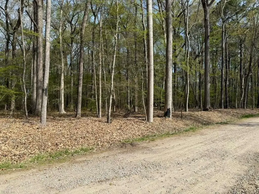 Picture 5