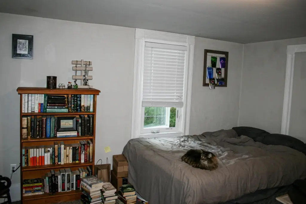 Picture 19
