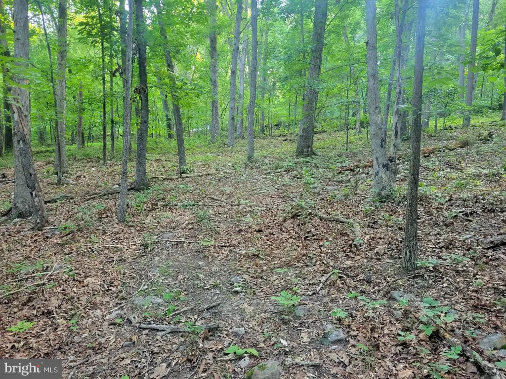 Picture 4