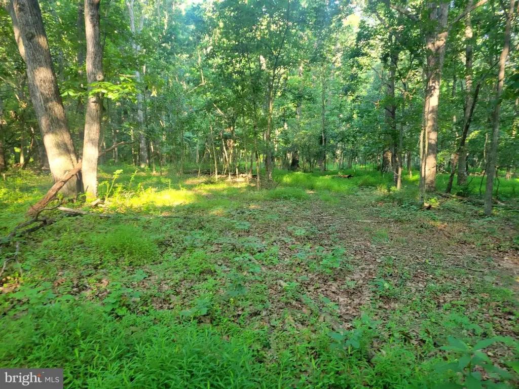 Picture 6