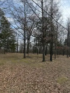Secluded Land Near Bull Shoals