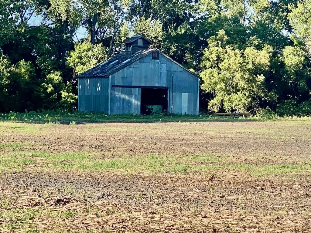 Picture 10