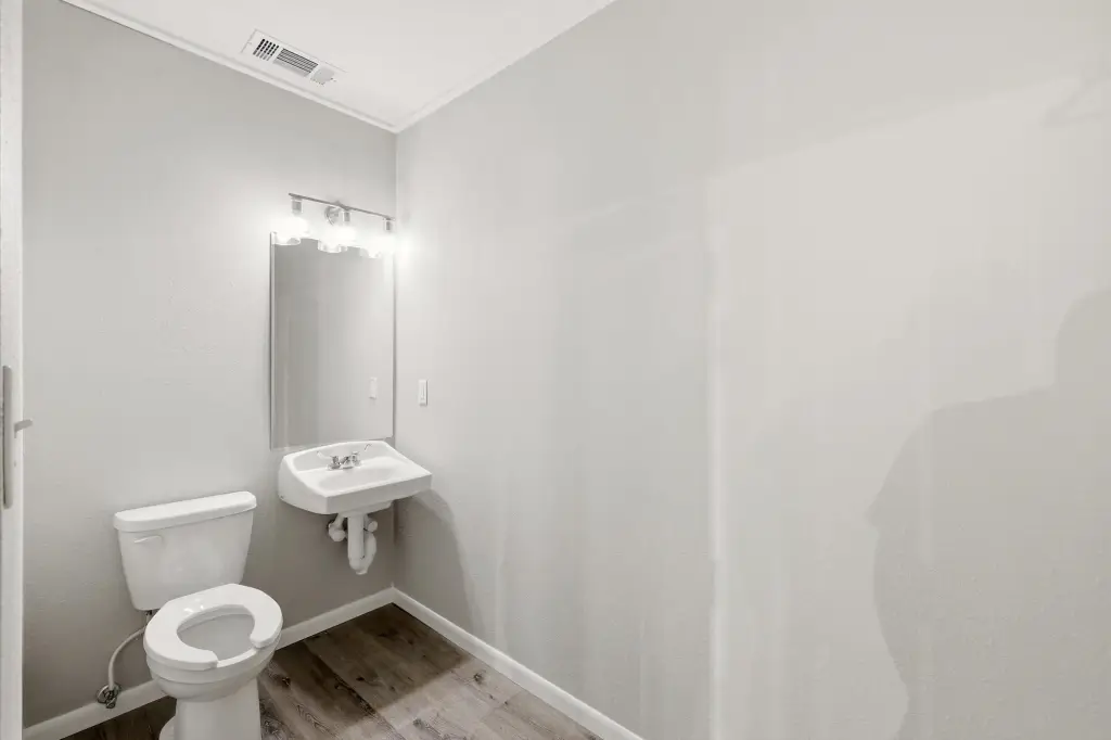 Picture 16