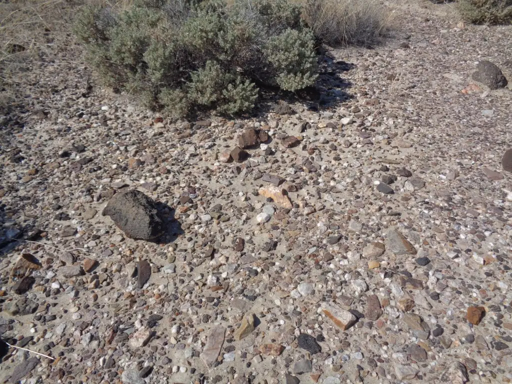 Picture 10