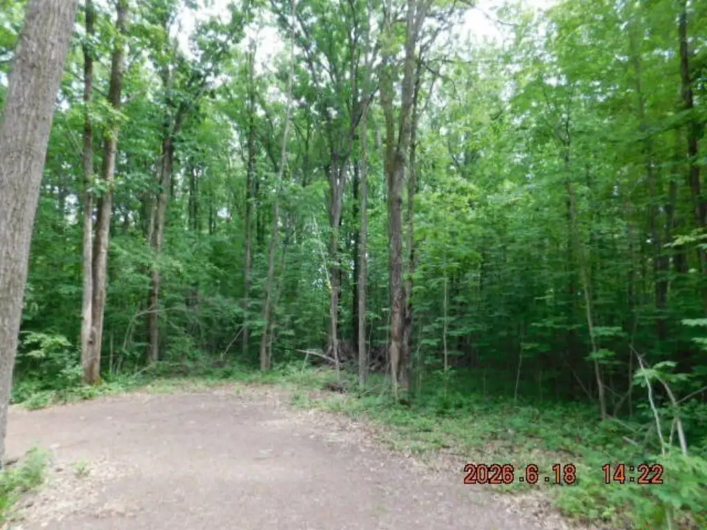 Picture 3