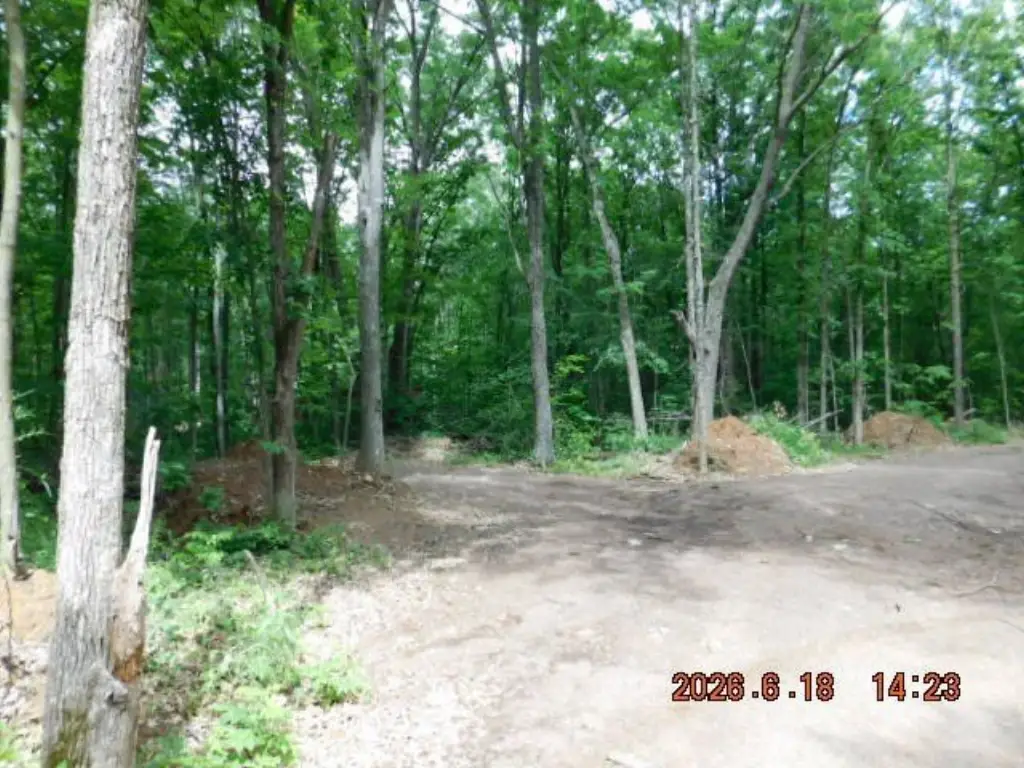 Picture 4