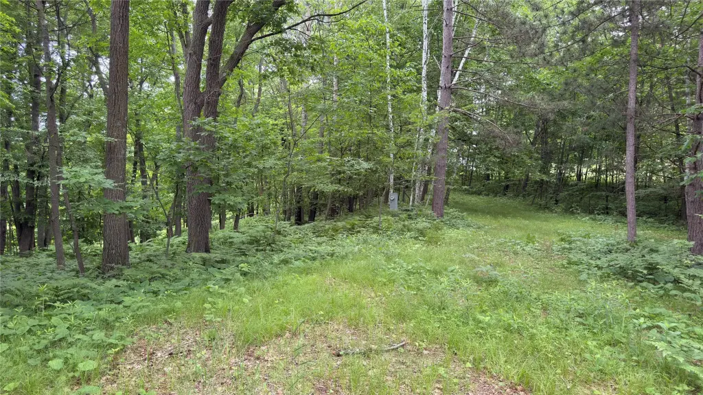 Picture 17